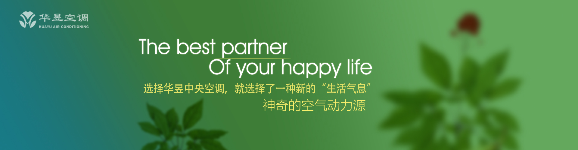 谷父蚕母网